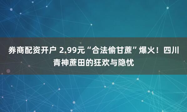券商配资开户 2.99元“合法偷甘蔗”爆火！四川青神蔗田的狂欢与隐忧