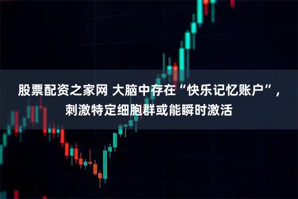 股票配资之家网 大脑中存在“快乐记忆账户”，刺激特定细胞群或能瞬时激活